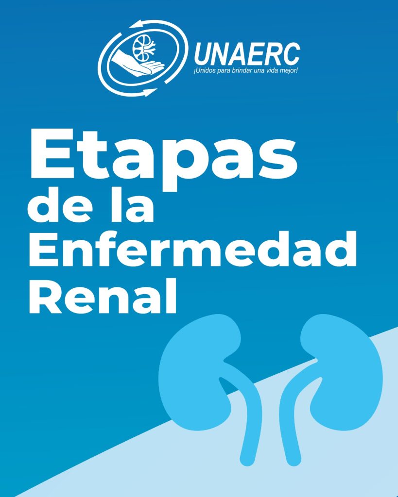 Etapas1